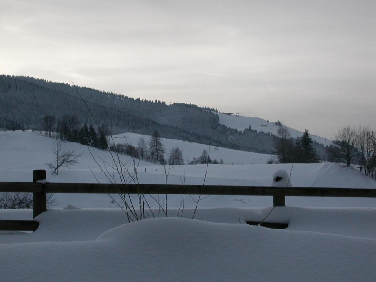 Gourmet-Hotel Grünwald Leogang Dış mekan fotoğraf